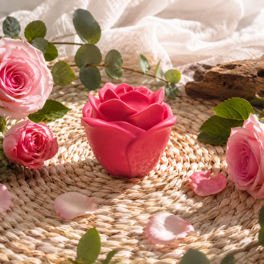 Rosa de Bulgaria