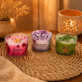 Pack Mimosa - VELAS