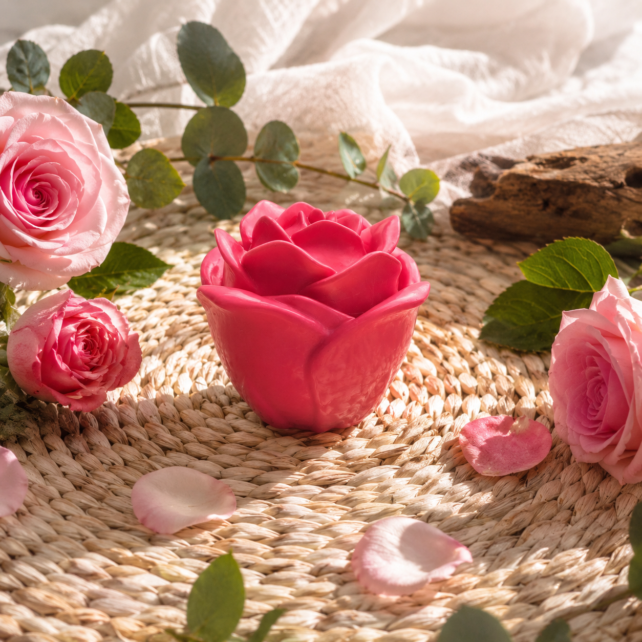 Rosa de Bulgaria