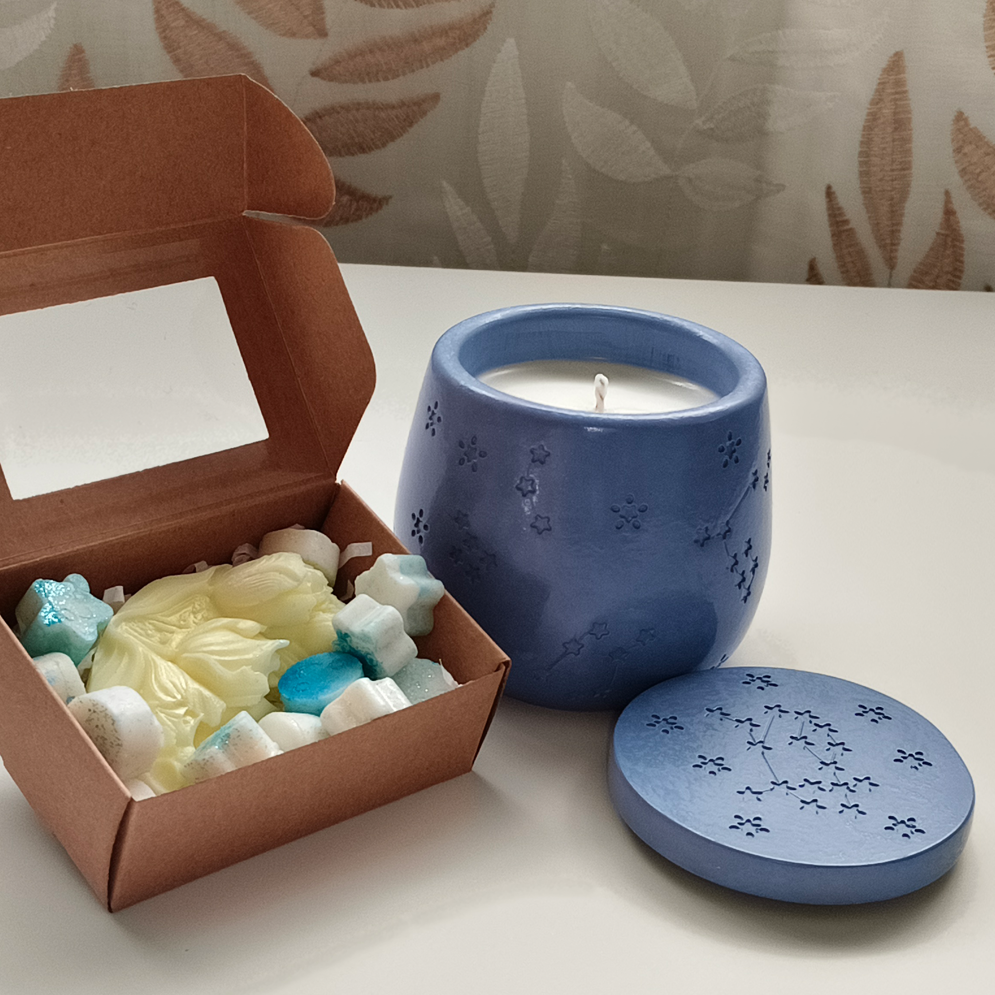 Noche estrellada con Wax Melts REGALO